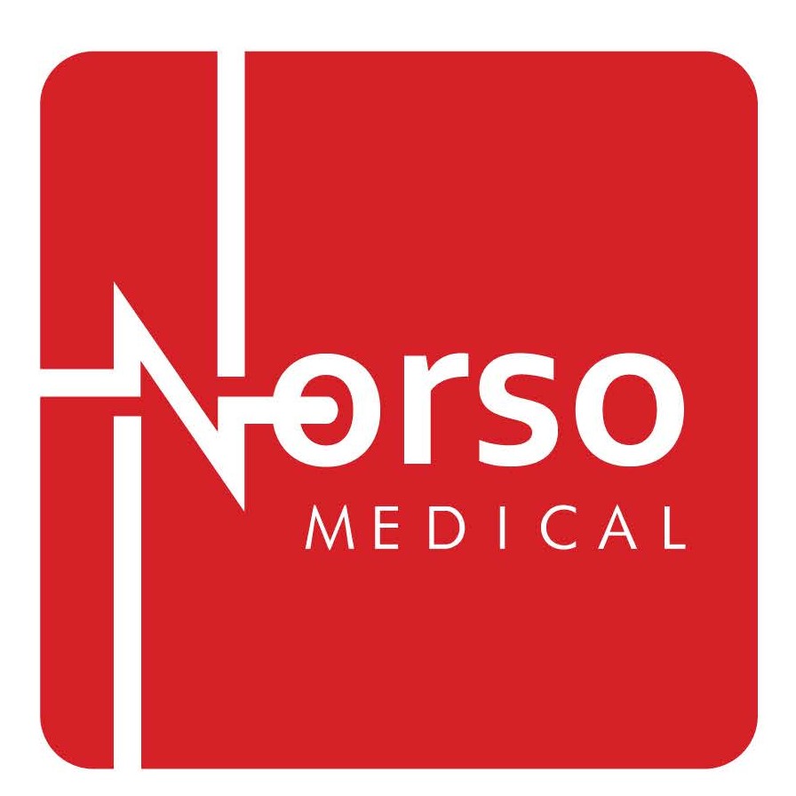 Norso Logo